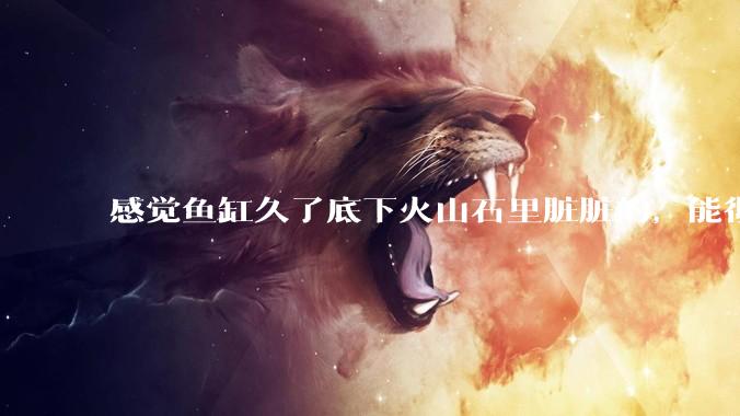 感觉鱼缸久了底下火山石里脏脏的，能彻底换水清理一遍不？