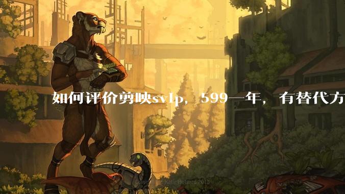 如何评价剪映svip，599一年，有替代方案吗？