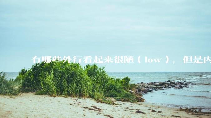 有哪些外行看起来很陋（low），但是内行人却觉得很高大上的东西？