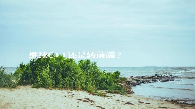 继续C++还是转前端?