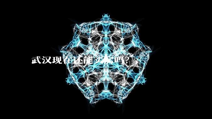 武汉现在还能买房吗？