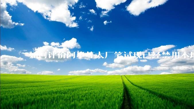 如何评价阿里等大厂笔试现已经禁用本地IDE？