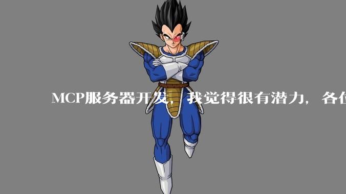 MCP服务器开发，我觉得很有潜力，各位觉得呢？